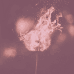 Brennende Pusteblume, die Funken erzeugt, vor einem dunklen Hintergrund.