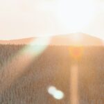 Sonnenstrahlen scheint über verschneiten Hügel und Wald